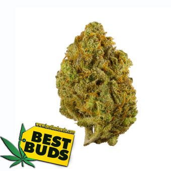 Super Lemon Haze